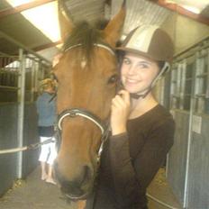 Dansk Varmblod Fellina - R.I.P † *SAVN*