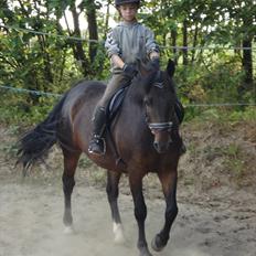 DSP Ricko *Gamle Part* et&alt