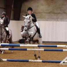 Anden særlig race Speedy Gonzales 