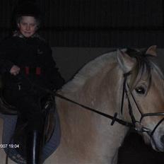 Fjordhest Laban (R.I.P)