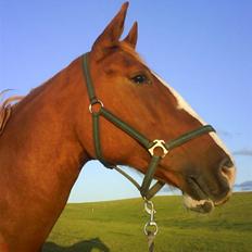 Frederiksborg Maja - Gammel part