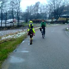 Anden særlig race Bella ( solgt )