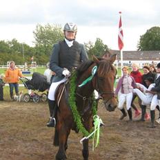 Anden særlig race Tippy B-pony