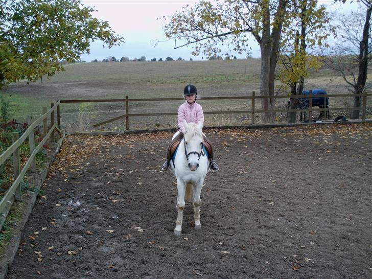 Connemara nokke min solmate - velkommen  billede 1