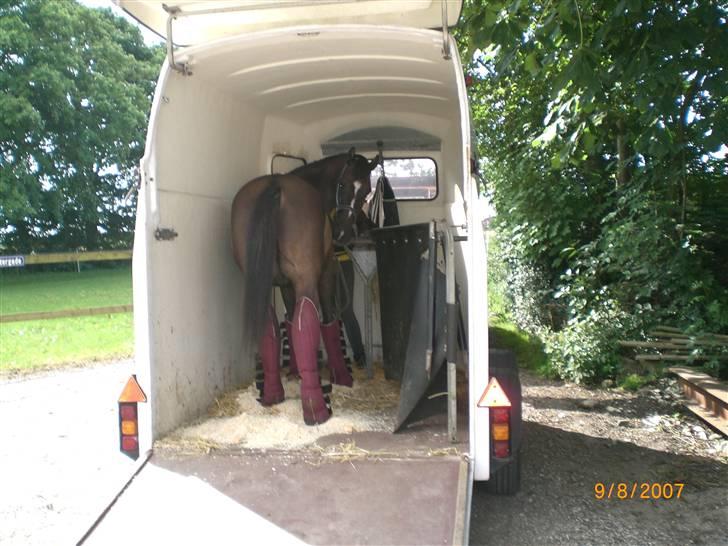 Anden særlig race Walter billede 19