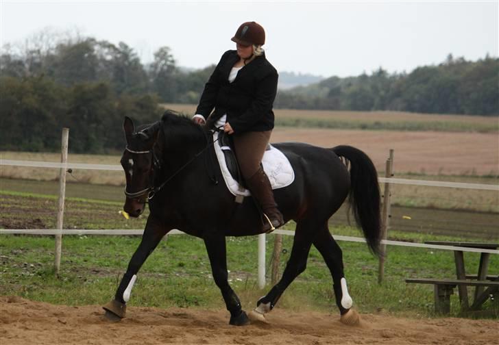 Oldenborg yasmin.. R.I.P - stævne:) billede 17