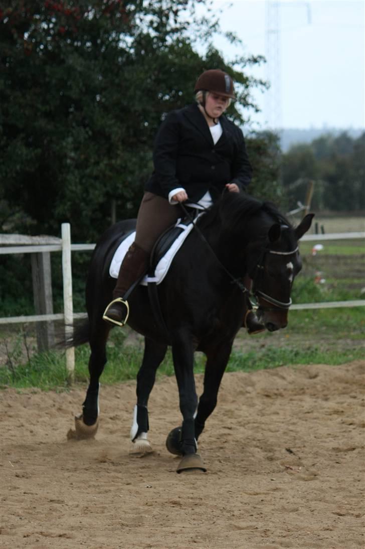 Oldenborg yasmin.. R.I.P - stævne:) billede 19