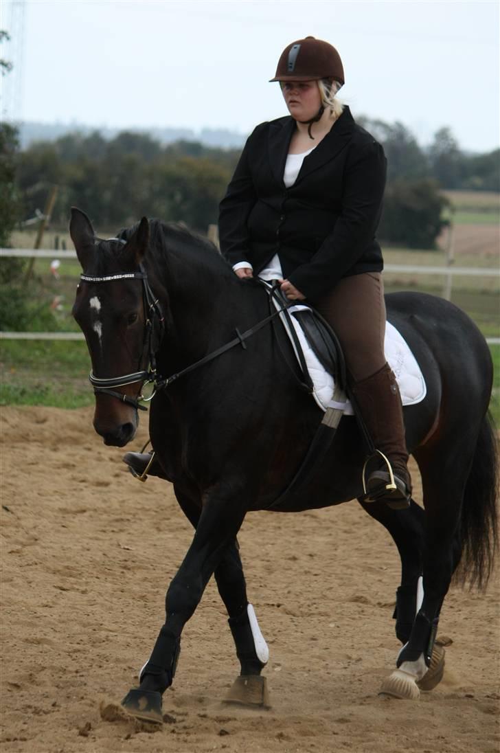 Oldenborg yasmin.. R.I.P - stævne:) billede 20