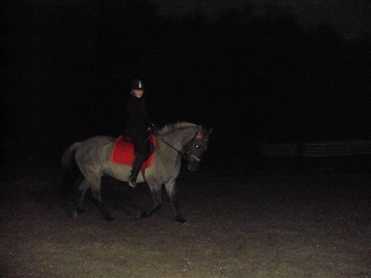 Anden særlig race Hannibal ( tidl. part) billede 11