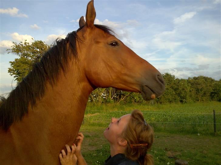 Anden særlig race Bacardi - haha, vi er tossede:).  billede 20