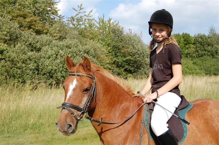 Anden særlig race Billy boy<3 SAVNER DIG!   - tur:-) billede 6