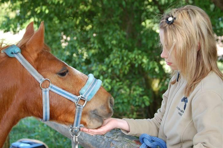 Anden særlig race Billy boy<3 SAVNER DIG!   billede 7