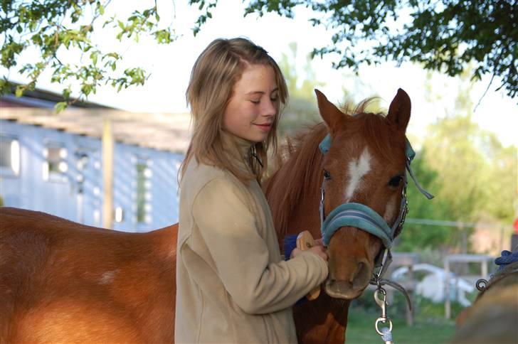 Anden særlig race Billy boy<3 SAVNER DIG!   billede 8