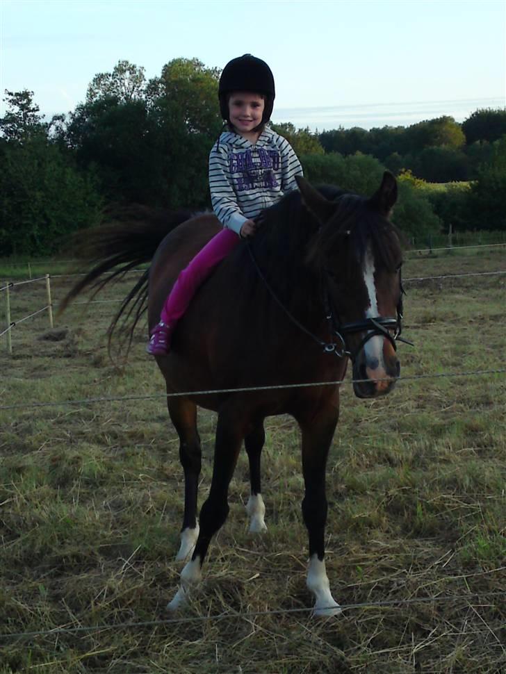 DSP Bitten Firhøj - Silje og bitten rider helt selv... uden sadel i skridt og trav... billede 9