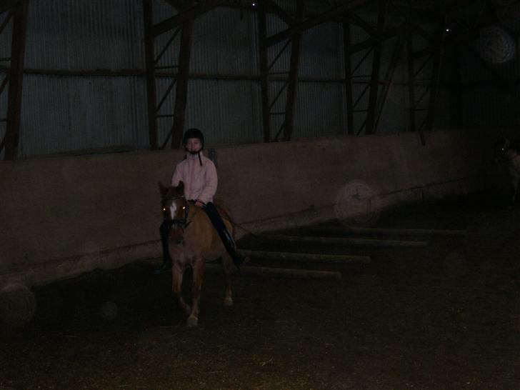 Anden særlig race Billy boy<3 SAVNER DIG!   - mange år siden :-D billede 20