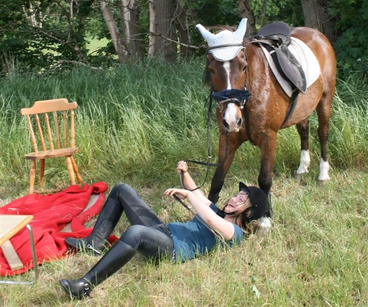 Anden særlig race Stensbæk's RICO - tja det kan ikk altid gå godt ;)  billede 6