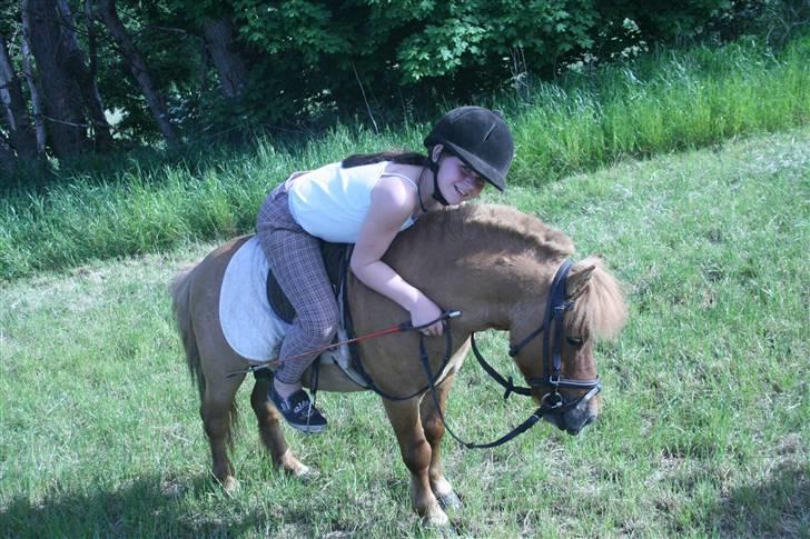 Shetlænder Stensbæk's WEAYN billede 6