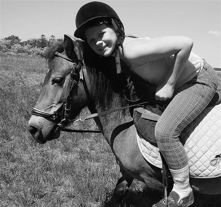 Shetlænder Stensbæk's BELLA billede 9