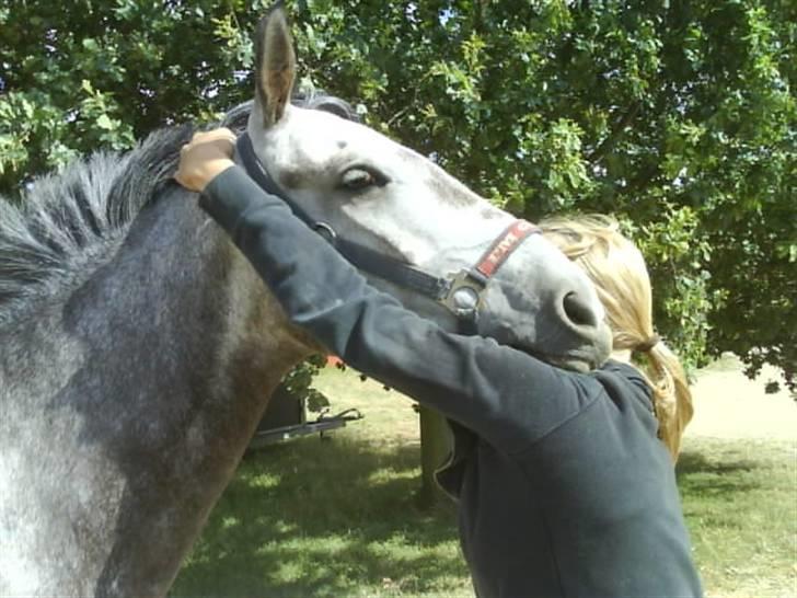 Anden særlig race Bastiansborgs Barney <3 - du elsker at kramme :D billede 18