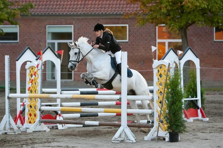 Connemara Zero To Hero billede 14