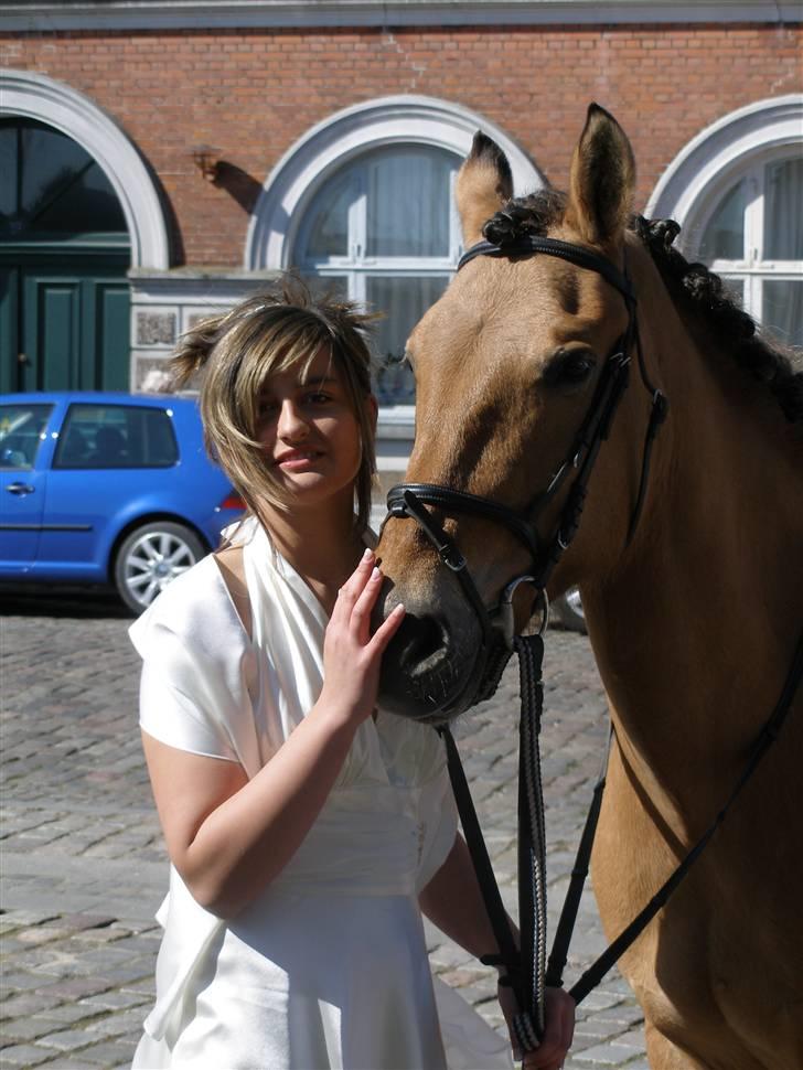 Anden særlig race Trunte min stjerne<3 Rest in peace <3 - 16# Konfirmation, bedste hest kom :*<3 Foto: Mor. billede 15