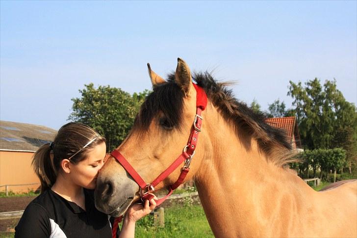 Anden særlig race Trunte min stjerne<3 Rest in peace <3 - 17#  fordi vi har været sammen i så lang tid!<3 Foto: Isabella Lundquist. billede 16