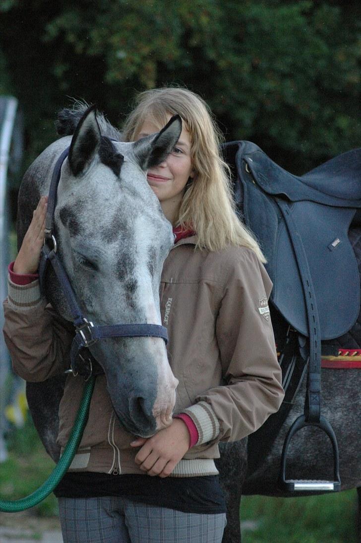 Oldenborg Cassandra *STJERNE* - Inden ridning - 6 år - August 2010 *Foto: Louise* billede 9