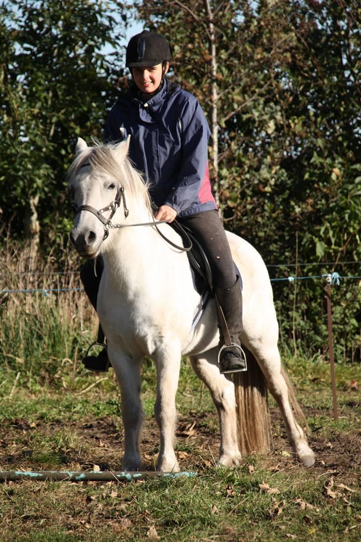 Anden særlig race Nelson - mig og Nelson helt parat..... foto barløse foto billede 7