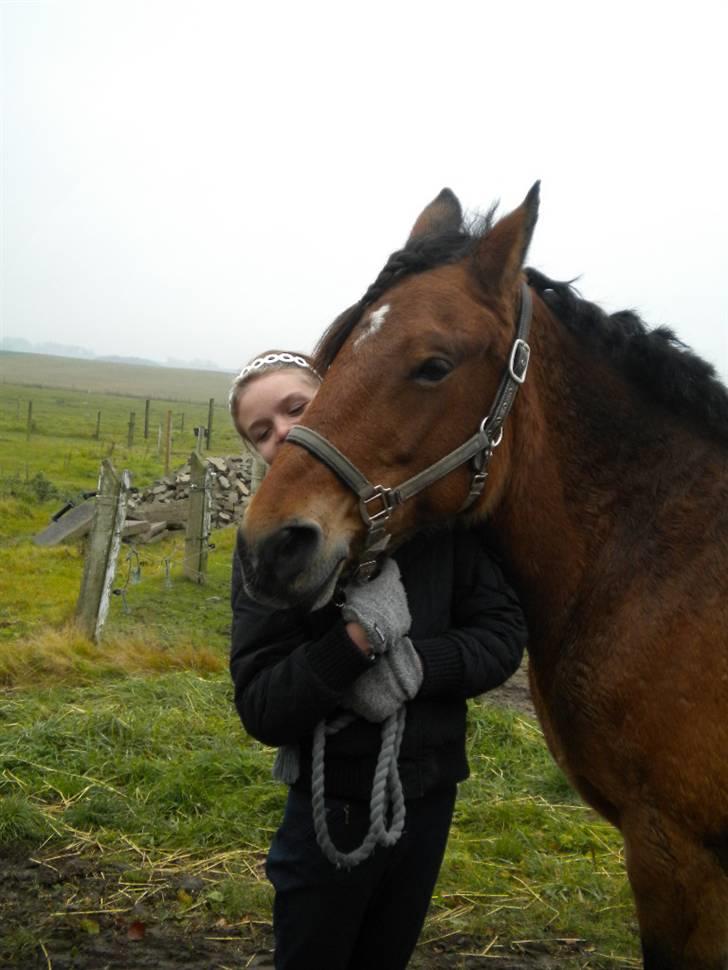 Anden særlig race Rosita ' R.I.P ' <3 :( - jeg elsker dig <3 // taget af sarah billede 20