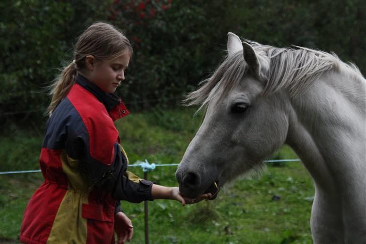 Anden særlig race Nelson - en godbid til den dygtige Nelson... billede taget af mig  billede 10