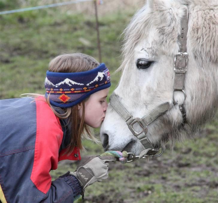 Anden særlig race Nelson - et kys til den sødeste pony.... billede taget af mig billede 13