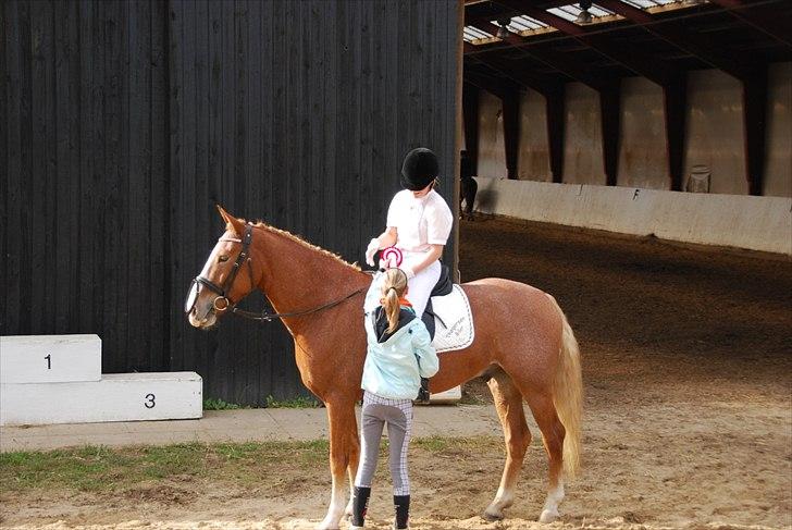 Anden særlig race Cabbano Sunlight*givet bort<3* - 1 plads i LA1 og LA2<3 dejlig dag billede 8