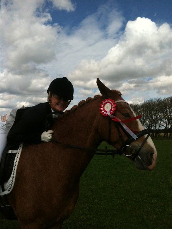 Anden særlig race Cabbano Sunlight*givet bort<3* - vandt vores første LA, efter 4 mdr pause. og 3 ugers ridning. rigtig stolt<3 billede 12