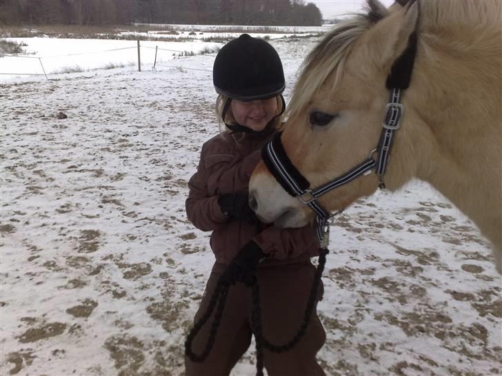 Fjordhest Slepnir - fordi du gør alt for en godbid... og fordi jeg ser sjov ud xD foto: mor billede 7