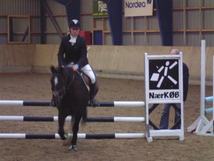 Welsh Cob (sec D) Tecno the Winner - SOLGT! - Vores første stævne sammen Lc nul fejl!<33 Foto : Monica c(; billede 13