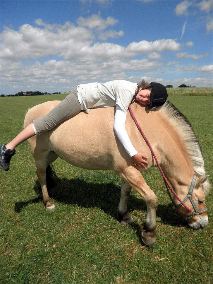 Fjordhest Ingegårds Hejst - Mig og smukke Hejst ;D<3  -  Billede af Julie A. billede 4