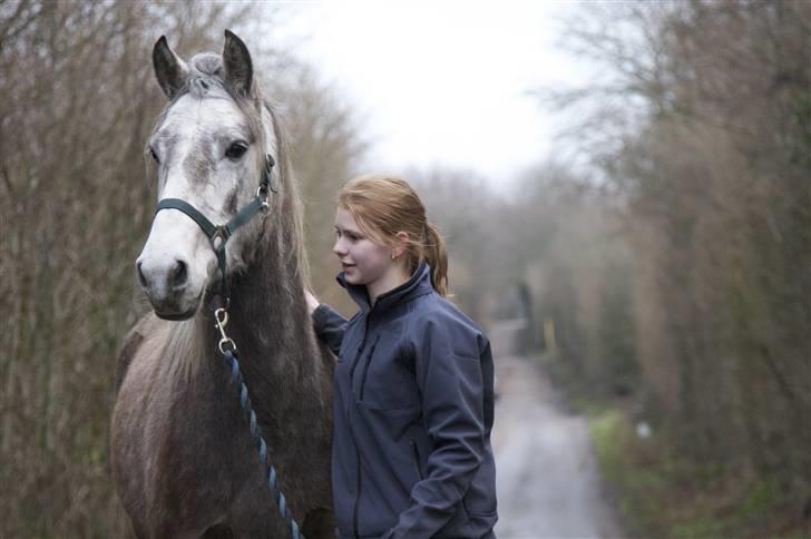 Connemara /DSP Champagne - “Friendship is born at that moment when one person says to another: "What! You too? I thought I was the only one.” billede 12