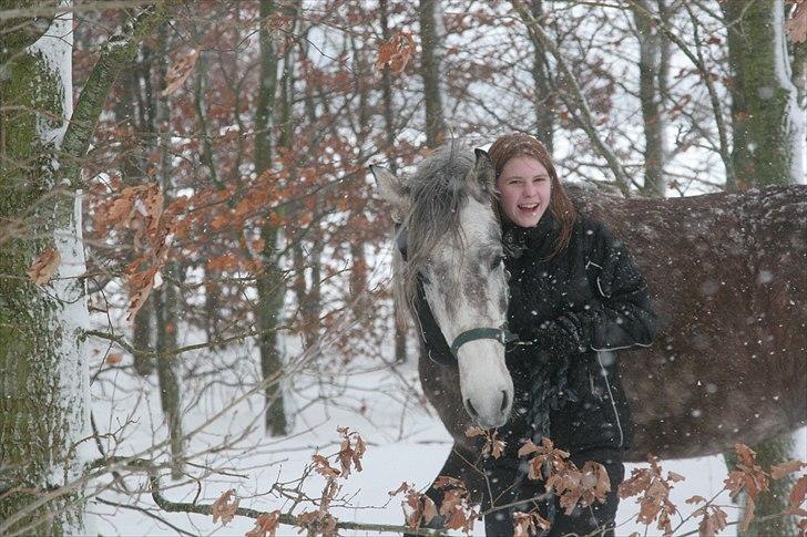 Connemara /DSP Champagne - Thinking of you across the miles…

Holding you close to my Heart and Loving you<3 billede 18