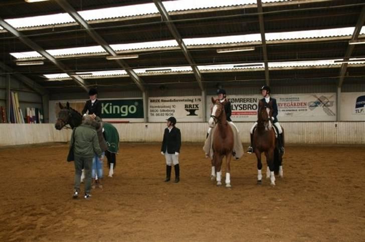 Anden særlig race Cabbano Sunlight*givet bort<3* - præmie overrækkelse i shcuppen:) billede 13