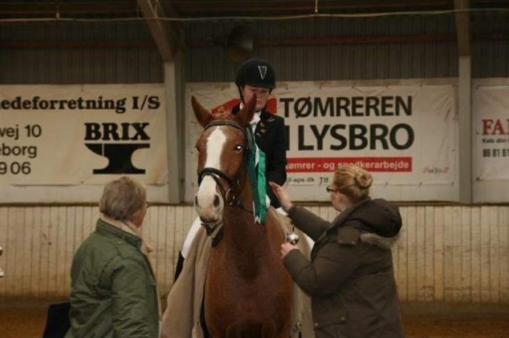 Anden særlig race Cabbano Sunlight*givet bort<3* - vi får vores fine 3 plads i den samlede<3 billede 14