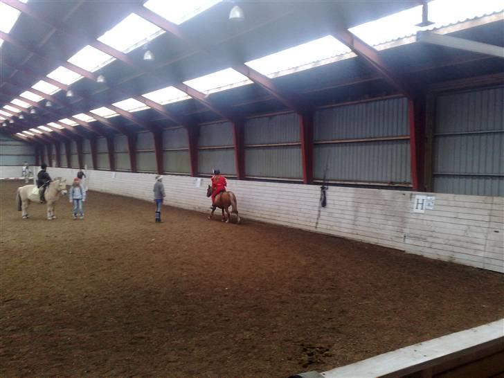 Anden særlig race Rosa* Linda h's * - Ringridning mod Laura billede 13