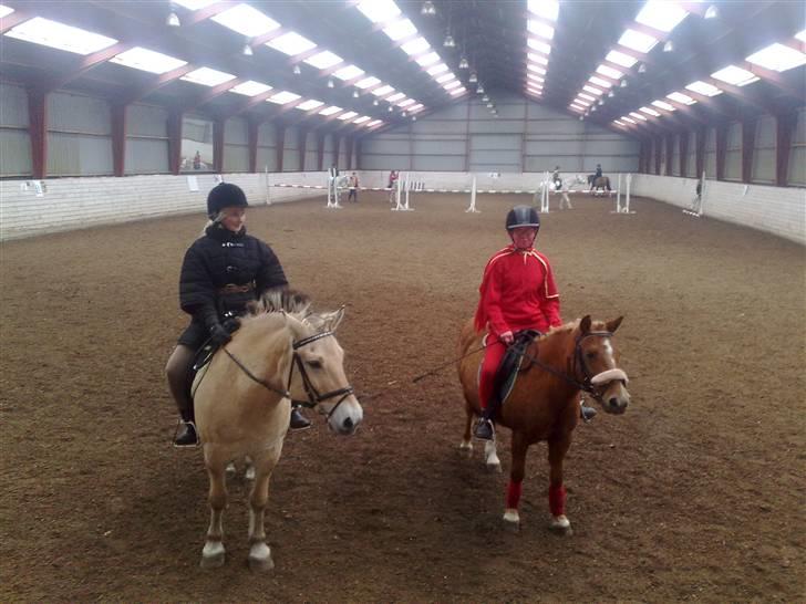 Anden særlig race Rosa* Linda h's * - Vi var to i klassen og vi fik samme fejl, alså vi delte 1 pladsen :) billede 14