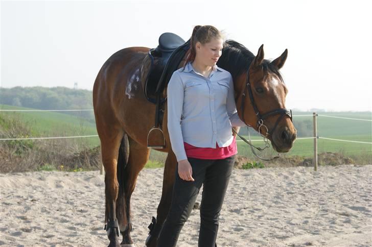 Dansk Varmblod Gammelgårdens Hope billede 14