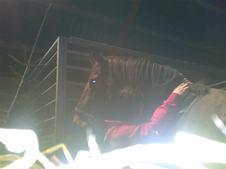 Oldenborg Tequila Sunrise billede 2