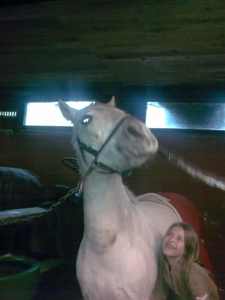 Anden særlig race Silver Star (Passet) - Nina gnubber Silver, lige der hvor det klør mest..... billede 1