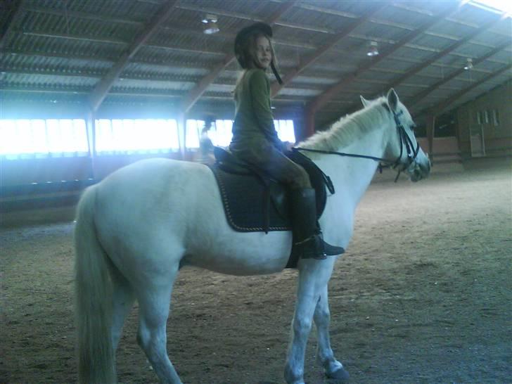 Anden særlig race Silver Star (Passet) billede 10