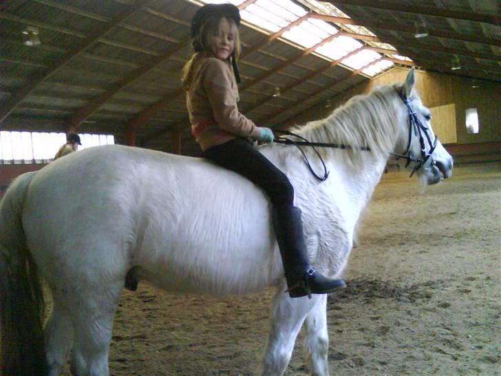 Anden særlig race Silver Star (Passet) - Ride uden sadel, det elsker de begge to. billede 12