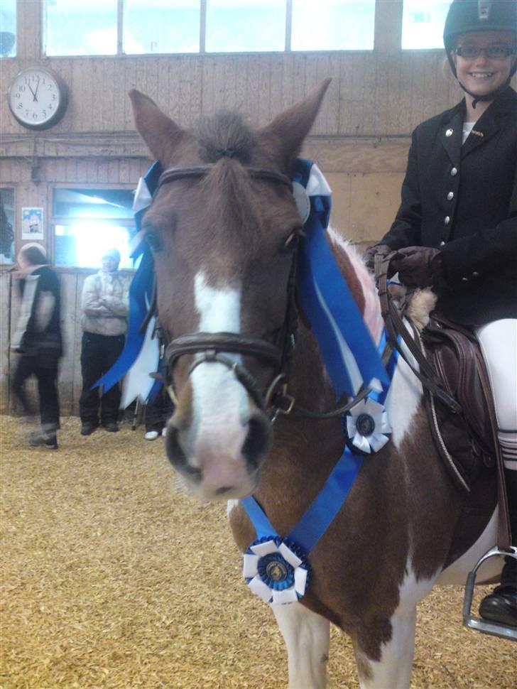 Anden særlig race Sprinter - Wee.... nr. 2 til klubmesterkskaberne!!!!!! :* sååå stolt af den lille<33 billede 18