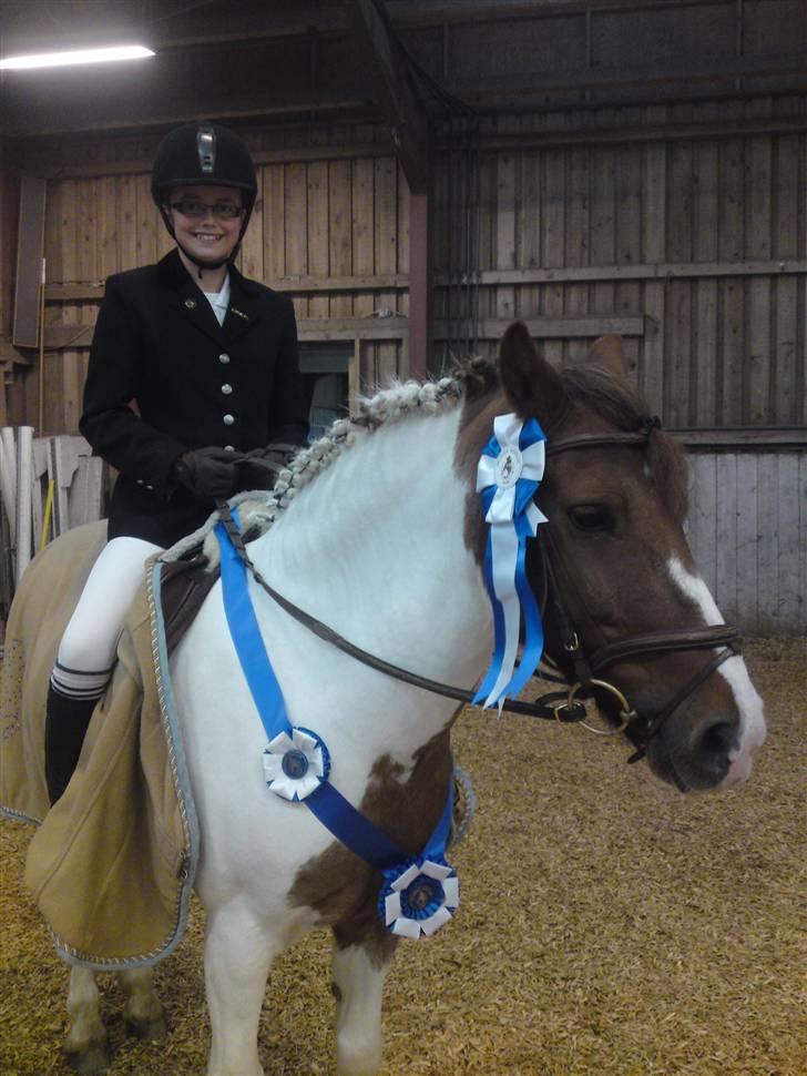 Anden særlig race Sprinter - Igen den dygtige pony til klubmetsrekaberne 2009 i dressur........<3........<3 billede 19