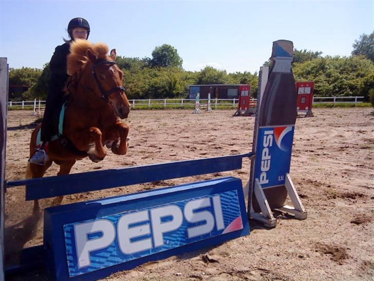 Islænder Embla fra Hessellund - Mig og Embla der springer pepsi spring(: *fotograf: Iben * billede 6